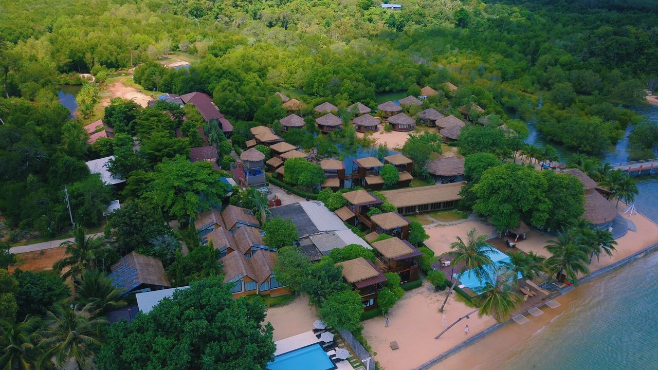 HIGH ANGLE VIEW OF TREES AND PLANTS GROWING OUTSIDE BUILDING