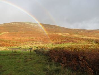 Mountains with grass and rainbow in sky