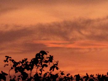 Scenic view of landscape against sky at sunset