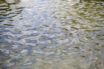 Full frame shot of rippled water in lake