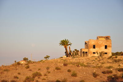 Palm trees on landscape against clear sky