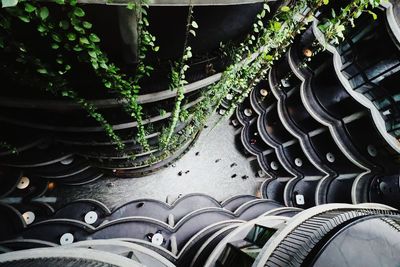 Close-up of stack of plants