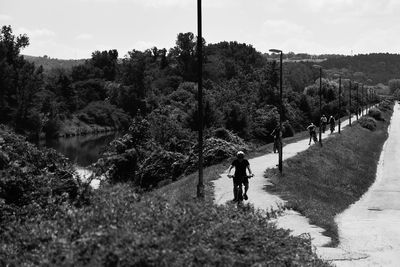 People walking on footpath amidst trees against sky