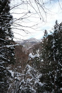 Scenic view of snow covered mountains against sky