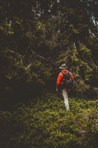 Rear view of man on plants against mountain