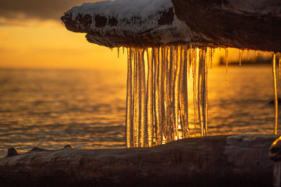 Close-up of icicles on beach against sky during sunset