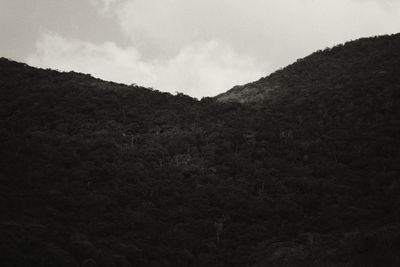 Close-up of mountain against sky