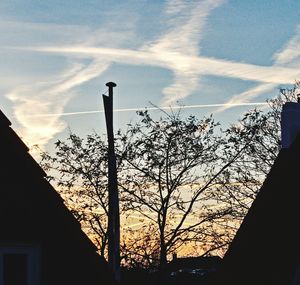 Low angle view of silhouette trees against sky at sunset