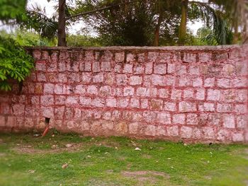 Brick wall in yard