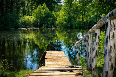 Wooden pier over lake in forest