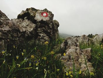 Low angle view of rock formation on mountain against sky