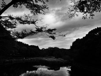 Scenic view of river in forest against sky