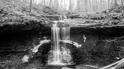 Scenic view of waterfall in forest