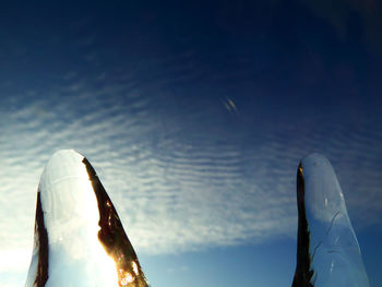 Close-up of swan swimming in water against sky