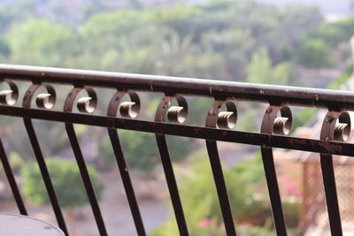 View of birds on railing