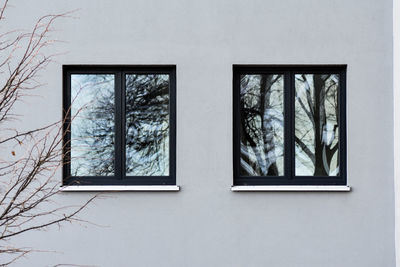 Close-up of bare tree in glass window of building