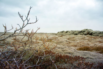 Scenic view of landscape against cloudy sky