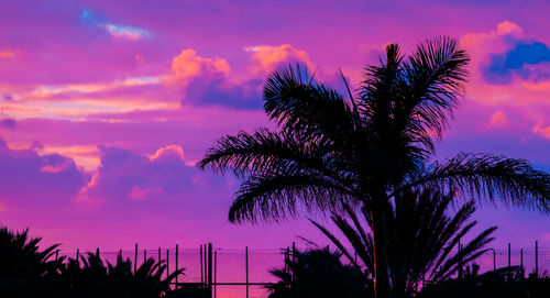 Low angle view of silhouette palm tree against sky at sunset