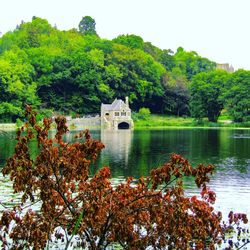 Scenic view of lake by trees against sky