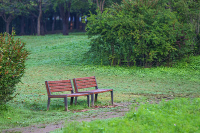 Empty bench in park