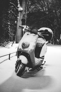 Close-up of snow on land
