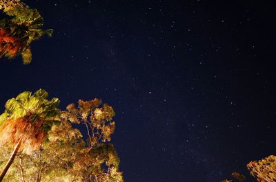 Low angle view of star field at night