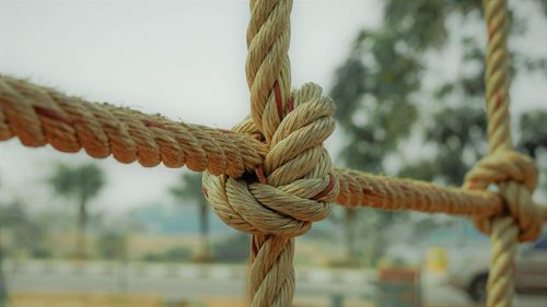 Close-up of rope tied to pole