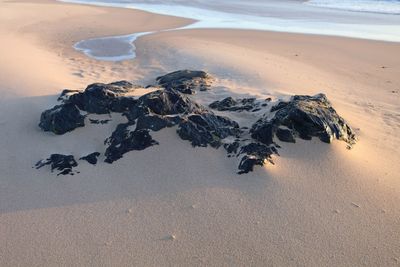 High angle view of rocks at sandy beach