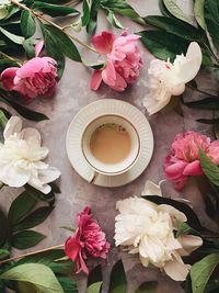 High angle view of pink roses on table