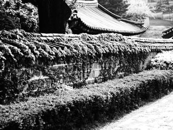 View of road in field