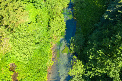 Aerial view of the crna rijeka in plitvice national park, croatia