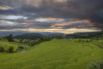 Scenic view of agricultural field against cloudy sky