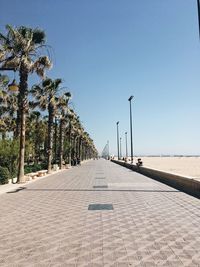 Street amidst palm trees against clear sky