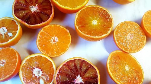 Directly above shot of orange fruits