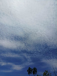 Low angle view of silhouette trees against sky