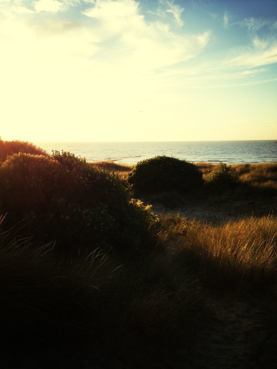 sea, horizon over water, water, tranquil scene, sky, scenics, tranquility, beauty in nature, beach, nature, shore, idyllic, sunset, cloud - sky, cloud, coastline, calm, outdoors, no people, remote