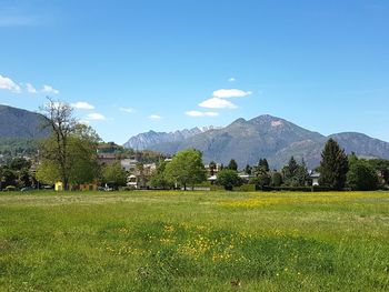 Scenic view of field against sky