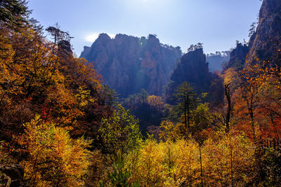 Panoramic view of trees and mountains against sky