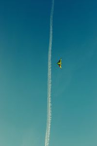 Low angle view of birds flying in sky
