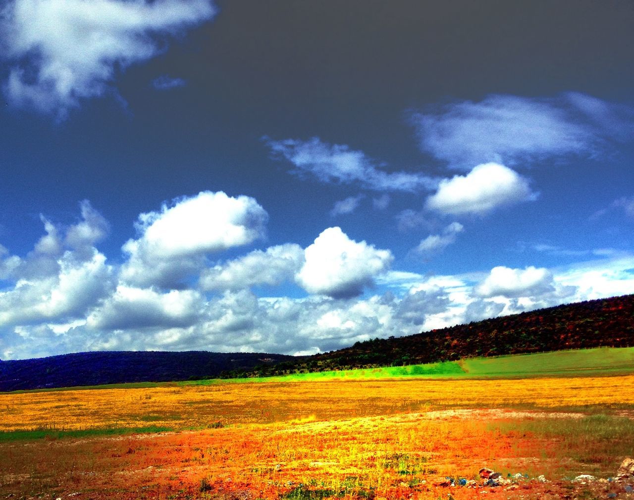 sky, landscape, tranquil scene, tranquility, cloud - sky, scenics, beauty in nature, mountain, field, nature, cloud, cloudy, yellow, rural scene, non-urban scene, mountain range, idyllic, agriculture, growth, horizon over land