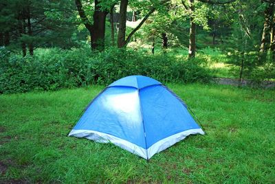 Tent on field by trees