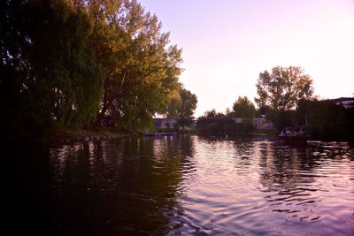 Reflection of trees in water