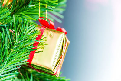 Close-up of christmas decoration hanging