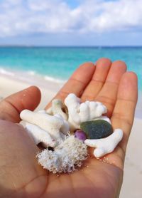 Close-up of cropped hand holding sea