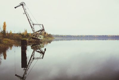 Reflection of trees in water