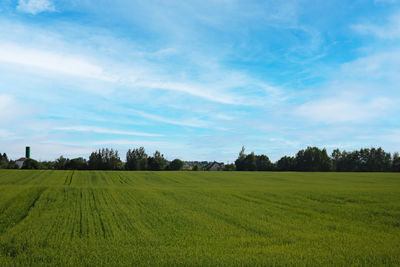 Scenic view of agricultural field against sky