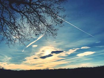 Low angle view of silhouette trees against sky at sunset