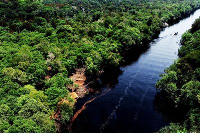 Aerial view of river flowing amidst forest