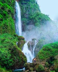 Scenic view of waterfall