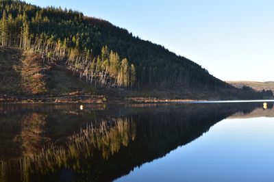 Scenic view of lake by trees against clear sky